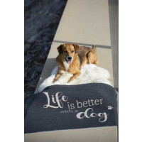 Odeja Pet 70 x 90 cm, Life is better with a dog - siva
