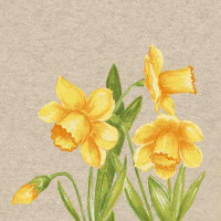 Serviete Daffodil