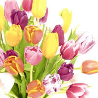 Serviete Beautiful Tulips