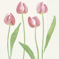 Serviete, tulipani - akvarel