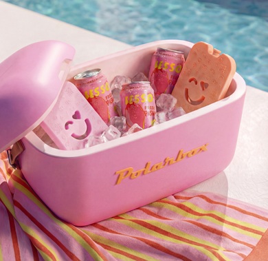Hladilne torbe Polarbox
